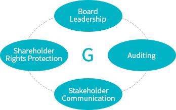 Board Leadership,Auditing,Stakeholder Communication,Shareholder Rights Protection